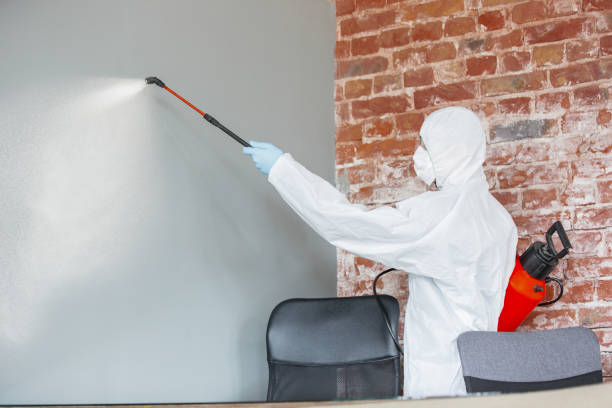 Best Mold Documentation for Insurance Claims  in Young Harris, GA