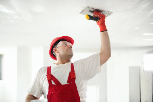 Best Real Estate Mold Inspection  in Young Harris, GA