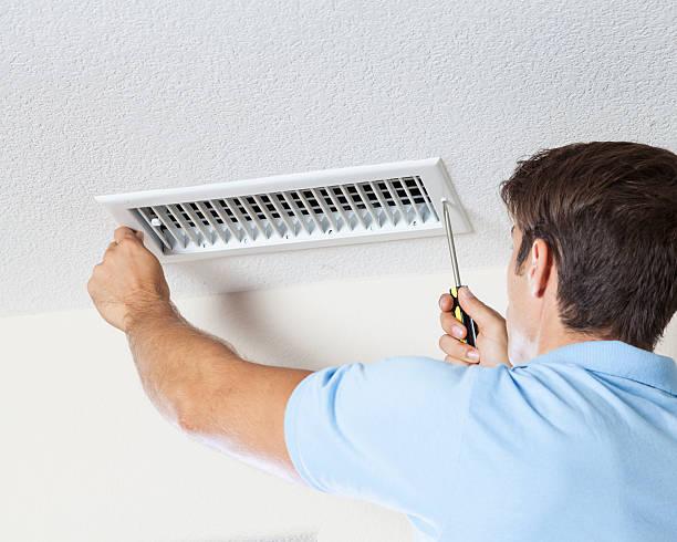 Best Attic Mold Removal  in Young Harris, GA