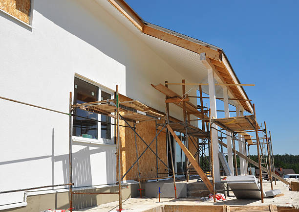 Best Asbestos and Lead Testing During Mold Inspection  in Young Harris, GA
