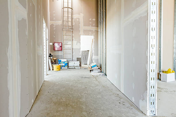  Young Harris, GA Mold Removal Pros