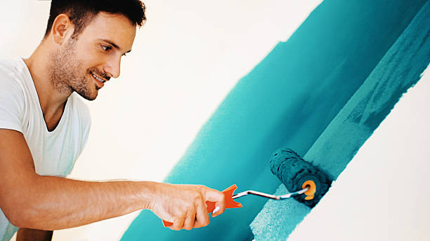 Young Harris, GA Mold Removal Company